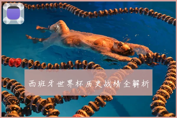 西班牙世界杯历史战绩全解析